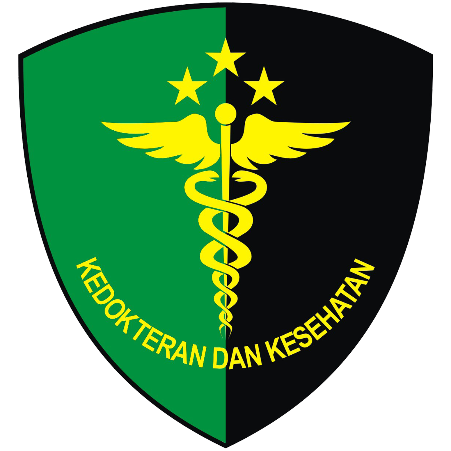 Kedokteran dan Kesehatan